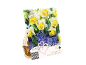 Embalaža za čebulice narcis in hijacint, z napisom 'Lovely Combinations'.