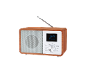 Leseni digitalni radio z zaslonom, ki prikazuje čas 06:43 in »David Guetta & B«.
