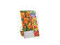 Čebulice tulipanov z embalažo, ki prikazuje tulipane 'Color Spectacle', ki spreminjajo barvo