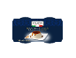 Panna Cotta al Caramello sladica, pakiranje 200 g (2 x 100 g).