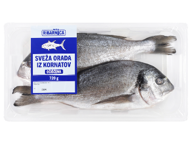 Sveža orada iz Kornatov