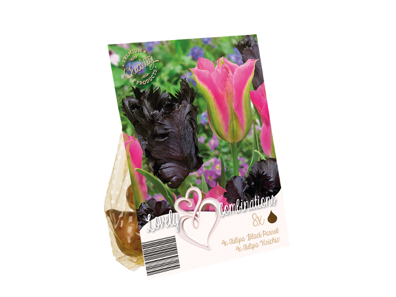 Paket čebulic tulipanov s črnimi in rožnato-zelenimi cvetovi, z napisom „Lovely Combinations“.