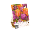Paket čebulic tulipanov z oranžnimi in vijoličnimi cvetovi, z besedilom 'Lovely Combinations'.