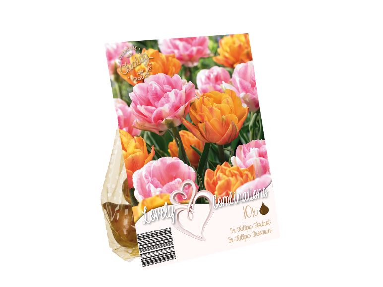 Paket čebulic tulipanov z rožnatimi in oranžnimi cvetovi, z napisom 'Lovely Combinations'.