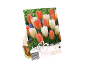Embalaža za čebulice tulipanov, z oranžnimi in belimi tulipani, označena z 'Lovely Combinations'