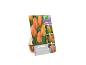 Paket 10 čebulic tulipanov 'Rhapsody of Smiles', ki spreminjajo barvo, velikosti 11/12 cm.