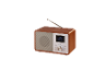 Leseni digitalni radio z zaslonom in anteno, prikazuje čas in ime izvajalca.