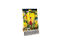 Paket 8 čebulic tulipanov 'Flaming Parrot' premium kakovosti.
