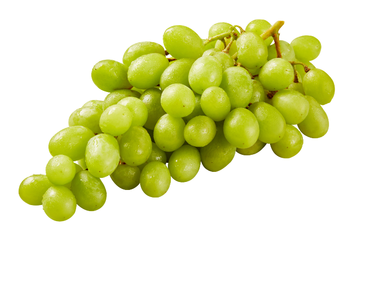 Svež grozd zelenega grozdja z vodnimi kapljicami na črnem ozadju.