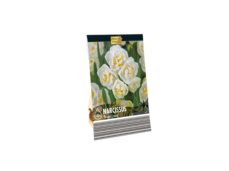 Paket 10 čebulic narcis 'Bridal Crown' premium kakovosti.