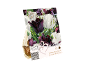 Paket čebulic tulipanov sort Black Parrot in White Parrot, z napisom „Lovely Combinations“.