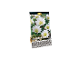 Paket 15 čebulic Anemone Blanda 'White Splendour' vrhunske kakovosti.