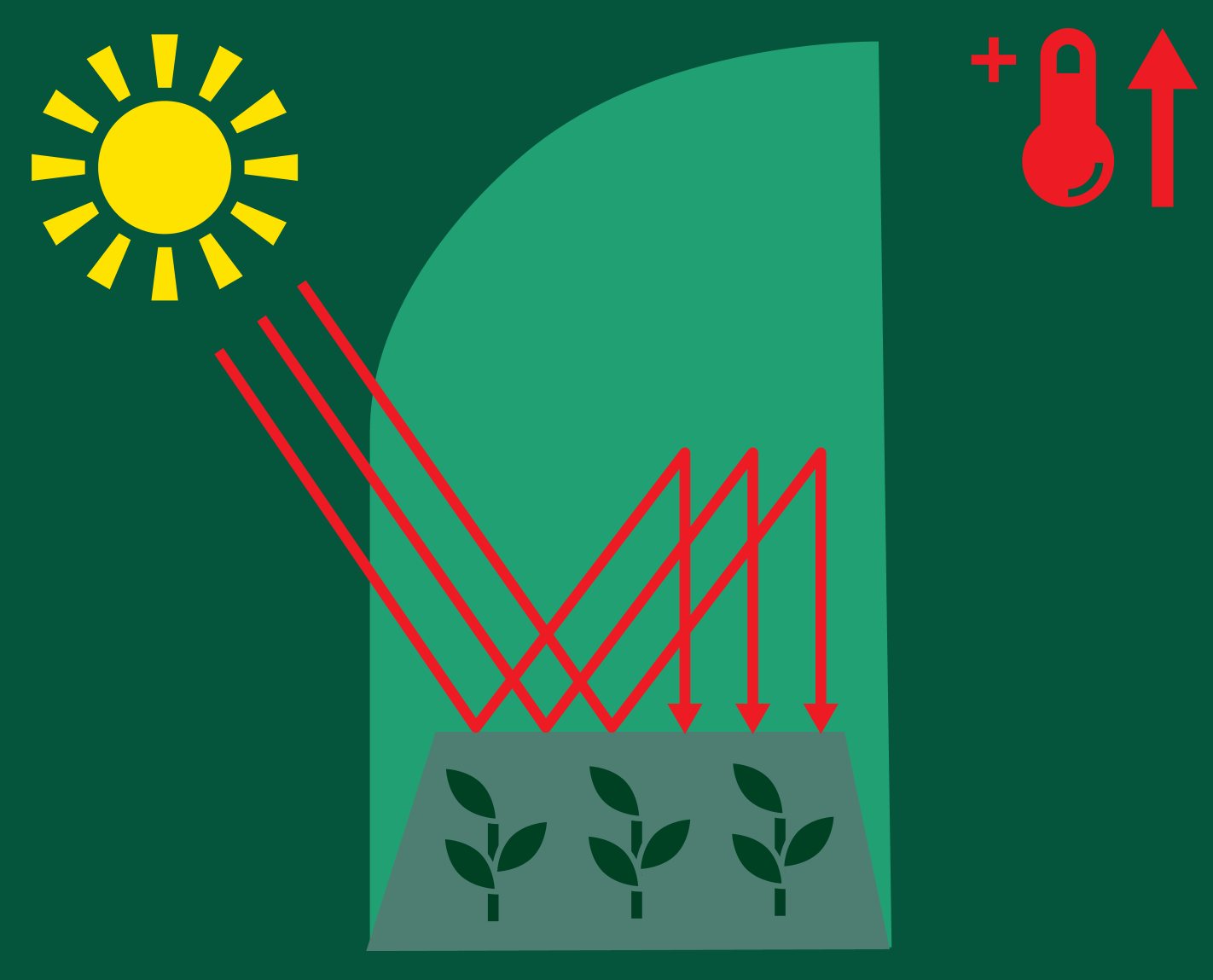 Sončna svetloba segreva rastlinjak in zvišuje temperaturo.