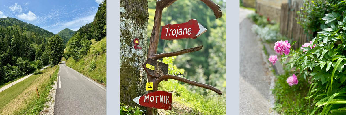 Pot, oznake za Trojane in Motnik, rožnati cvetovi.
