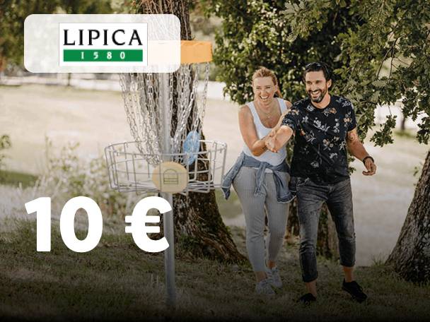 Par igra disk golf, ob košu je napis 10 €.