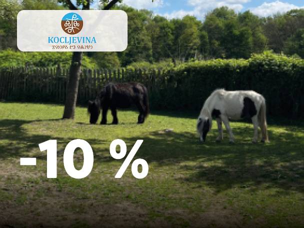 Dva konja se paseta na travniku z logotipom 'KOCLJEVINA' in oznako '-10%'.