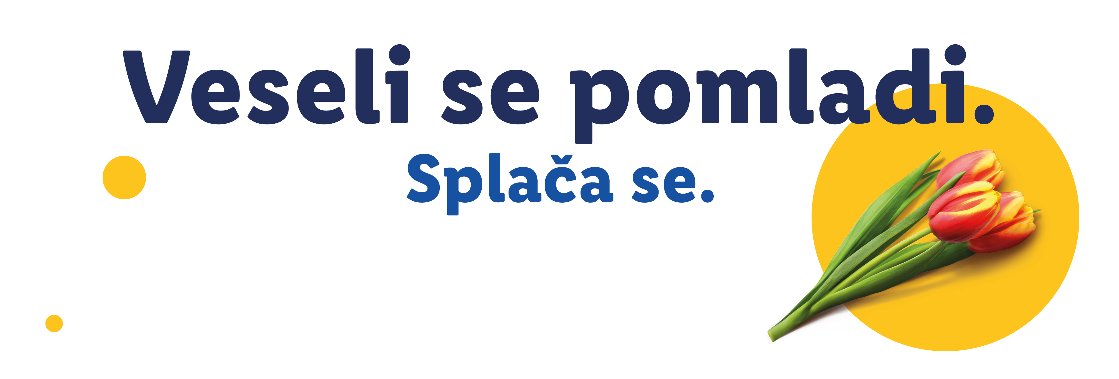 Rdeče-rumeni tulipani na rumenem krogu z napisom: 'Veseli se pomladi. Splača se.'