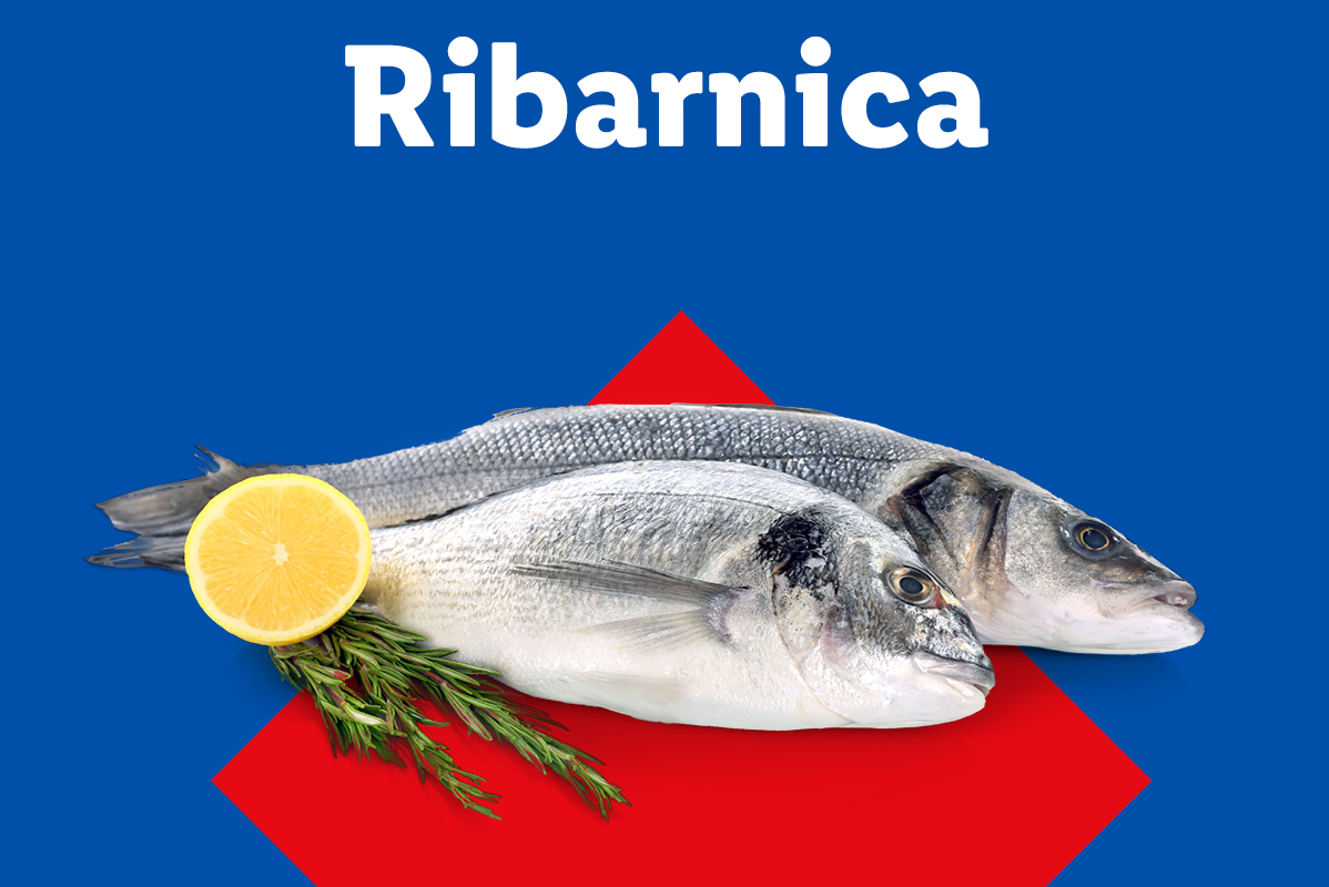 Dve sveži ribi na rdečem ozadju z limonino rezino in rožmarinom. Ribarnica.