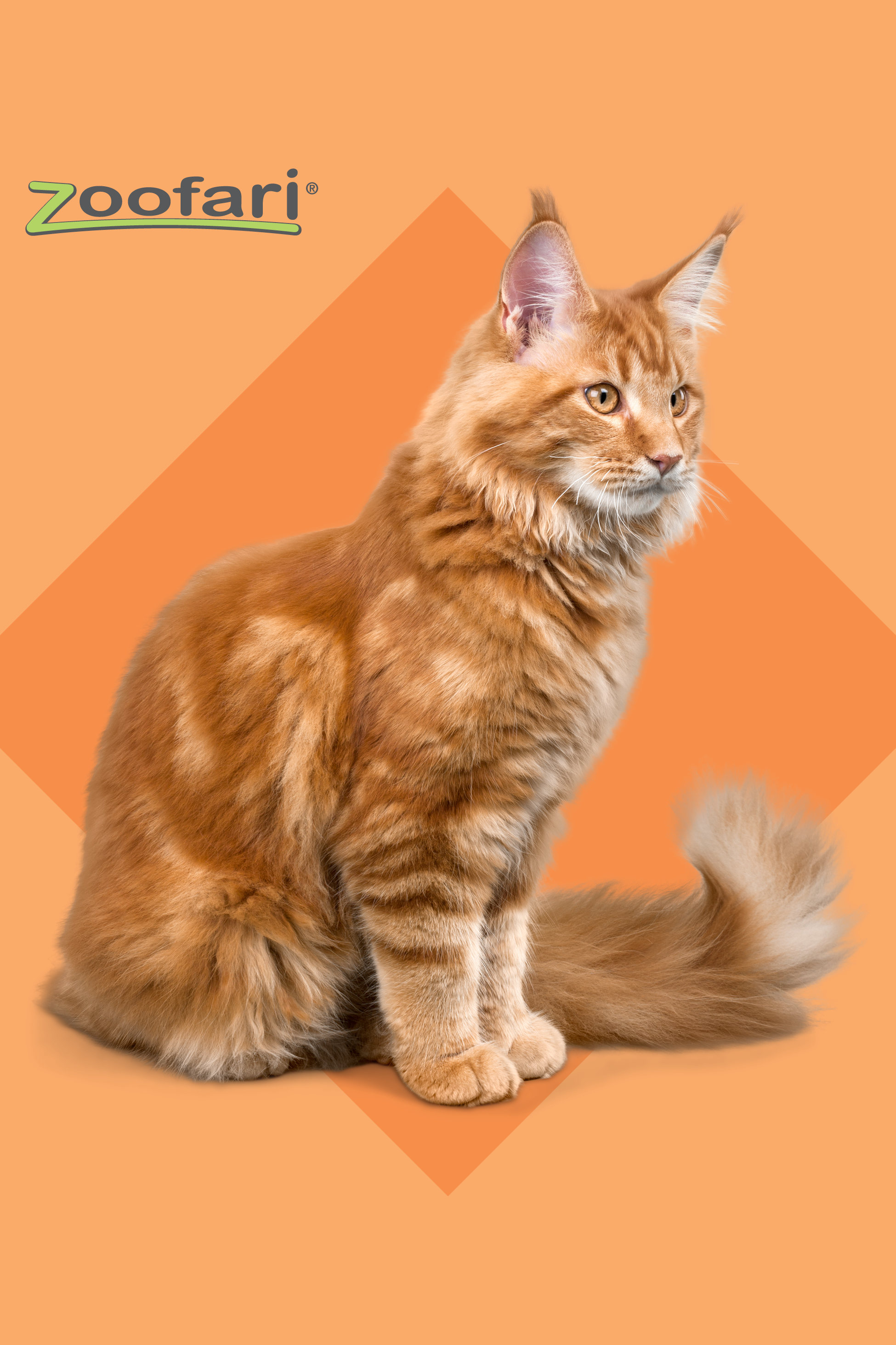 Rdeča mačka sedi na oranžnem ozadju z logotipom.