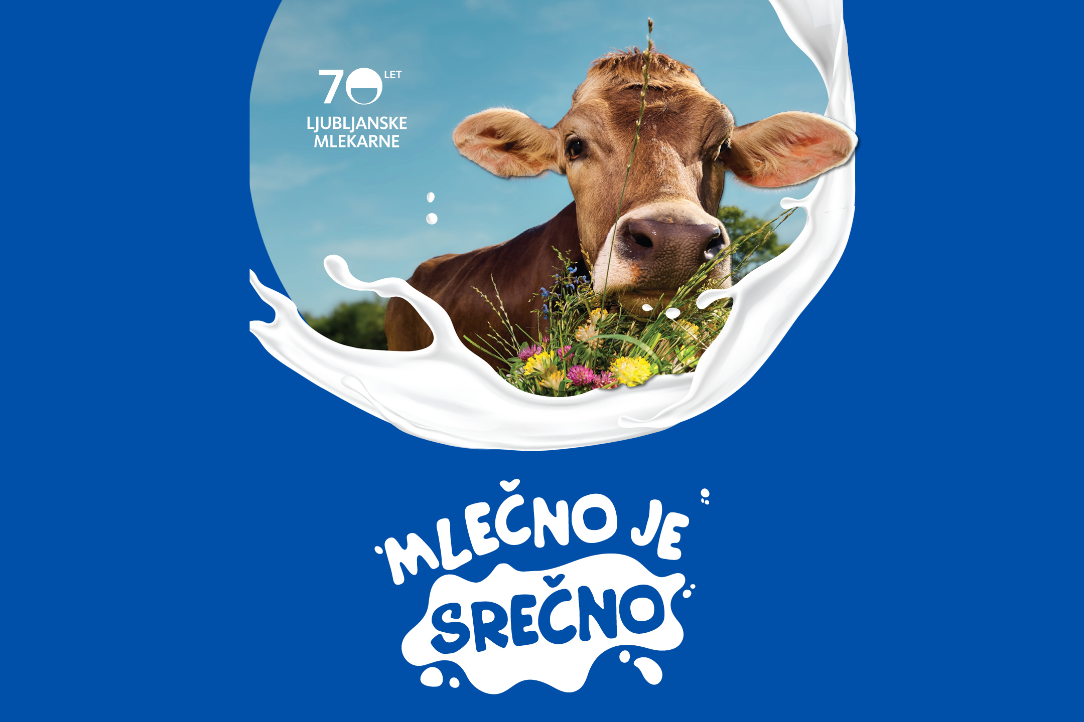 Krava v cvetlični travi, obdana z mlekom, z napisom 'Mlečno je srečno'.