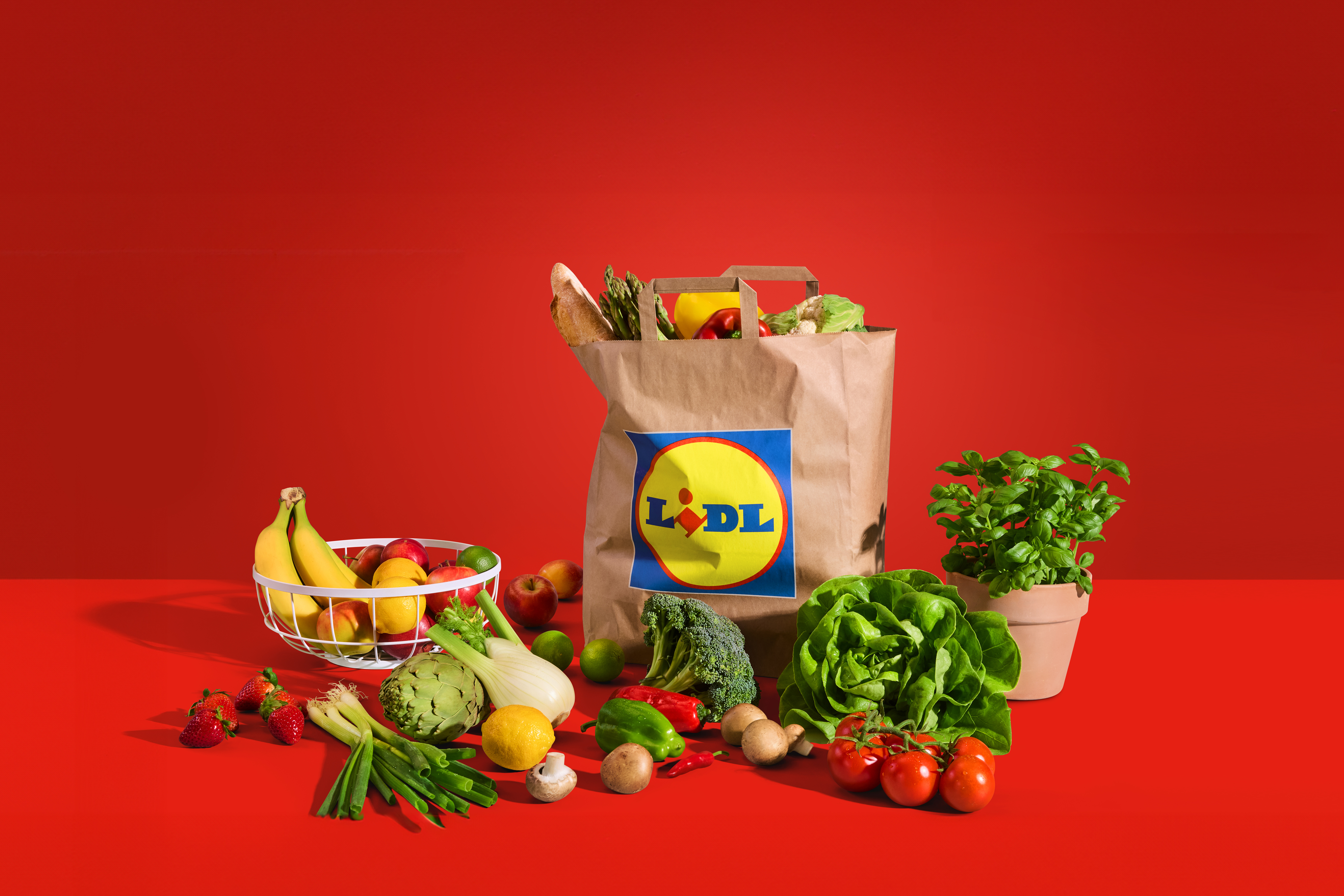 Nakupovalna vrečka in raznovrstno sveže sadje in zelenjava na rdeči podlagi.