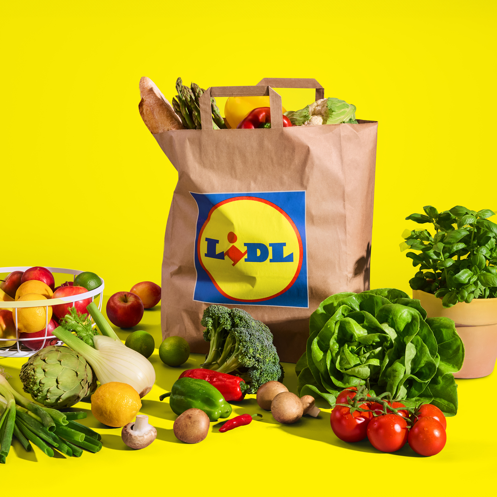 Nakupovalna vrečka Lidl, polna sveže zelenjave in sadja, na živahni rumeni podlagi.