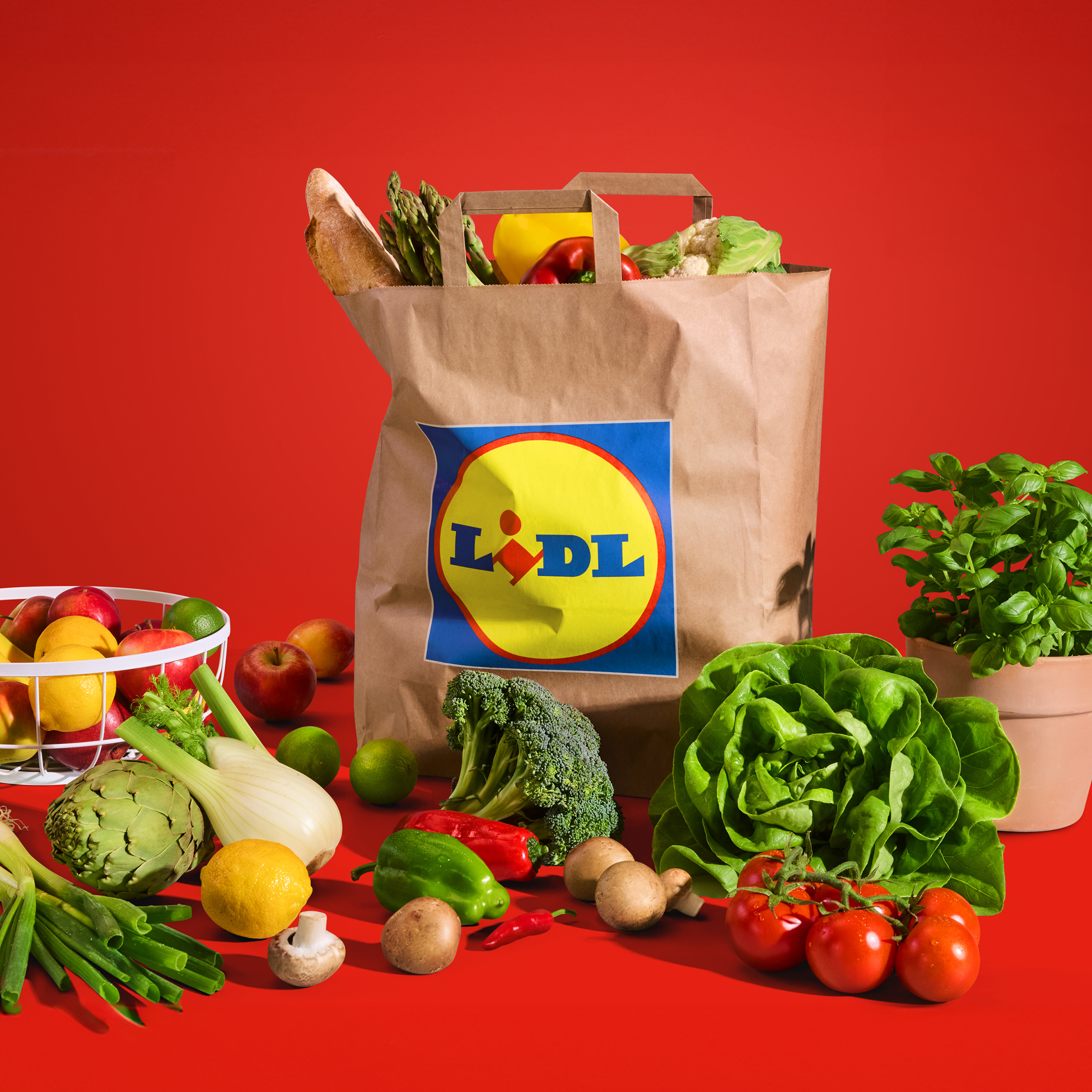 Nakupovalna vrečka Lidl, polna svežega sadja in zelenjave, obdana z dodatnimi pridelki.