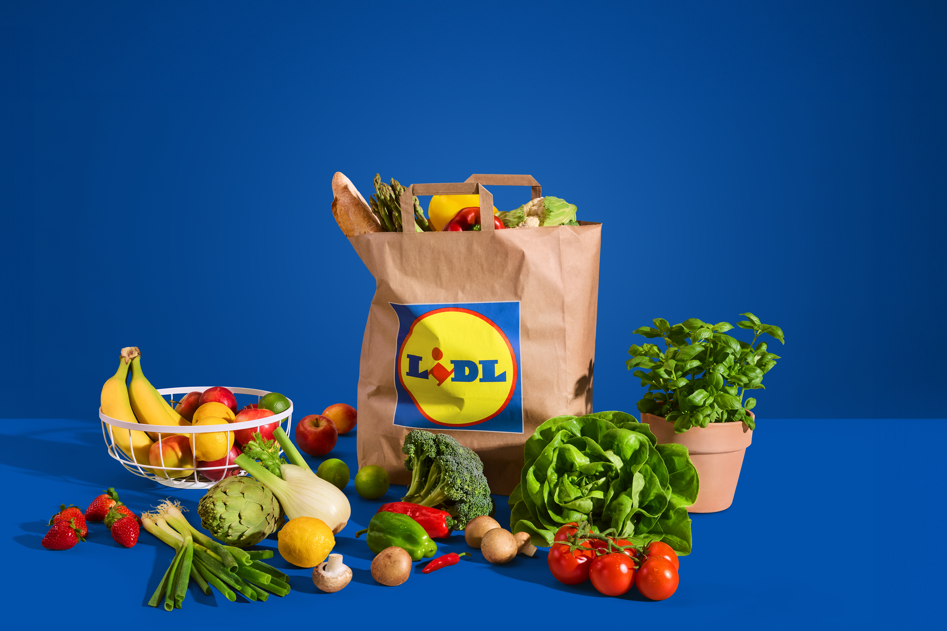 Nakupovalna vrečka in košara, polni svežega sadja in zelenjave na modri podlagi.