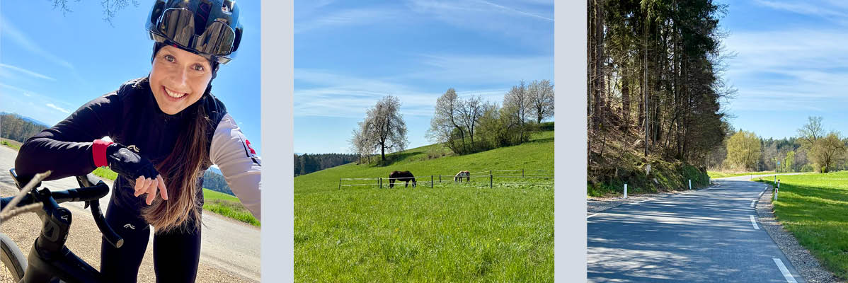 Kolesarjenje, narava, konji.
