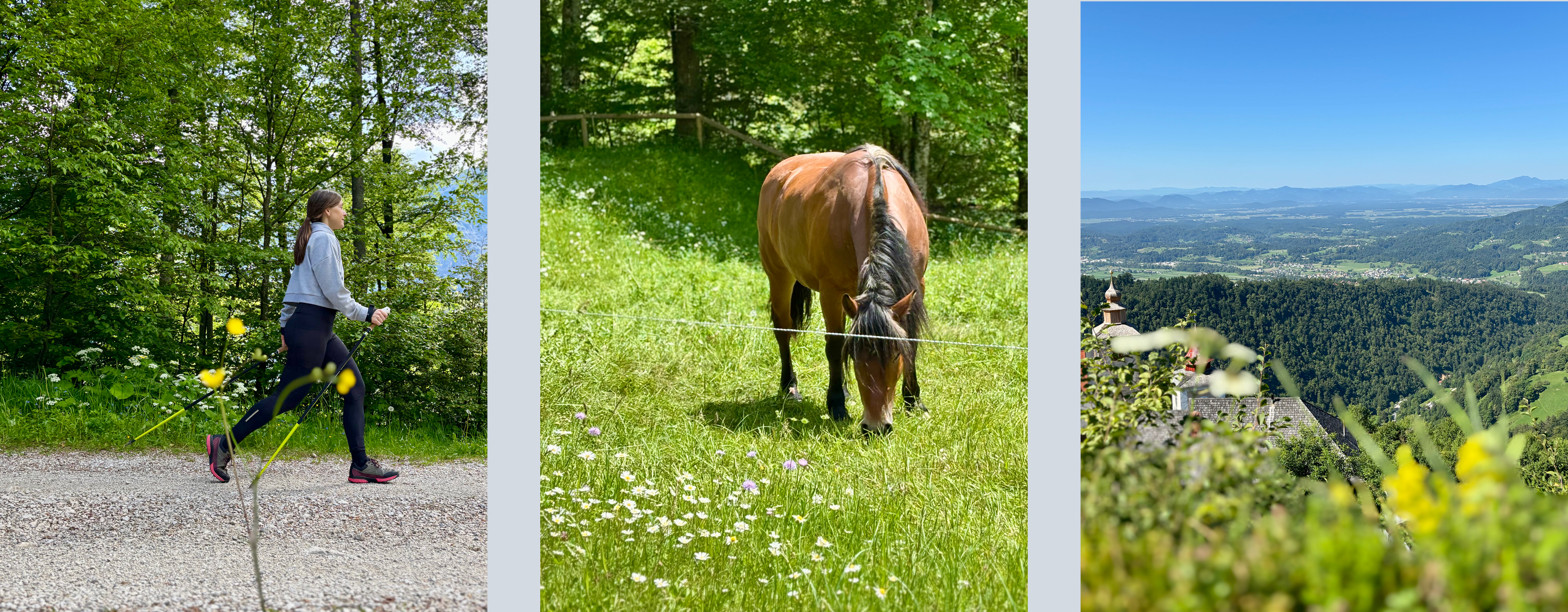 Ženska, ki hodi s palicami, konj na paši in razgled na pokrajino.