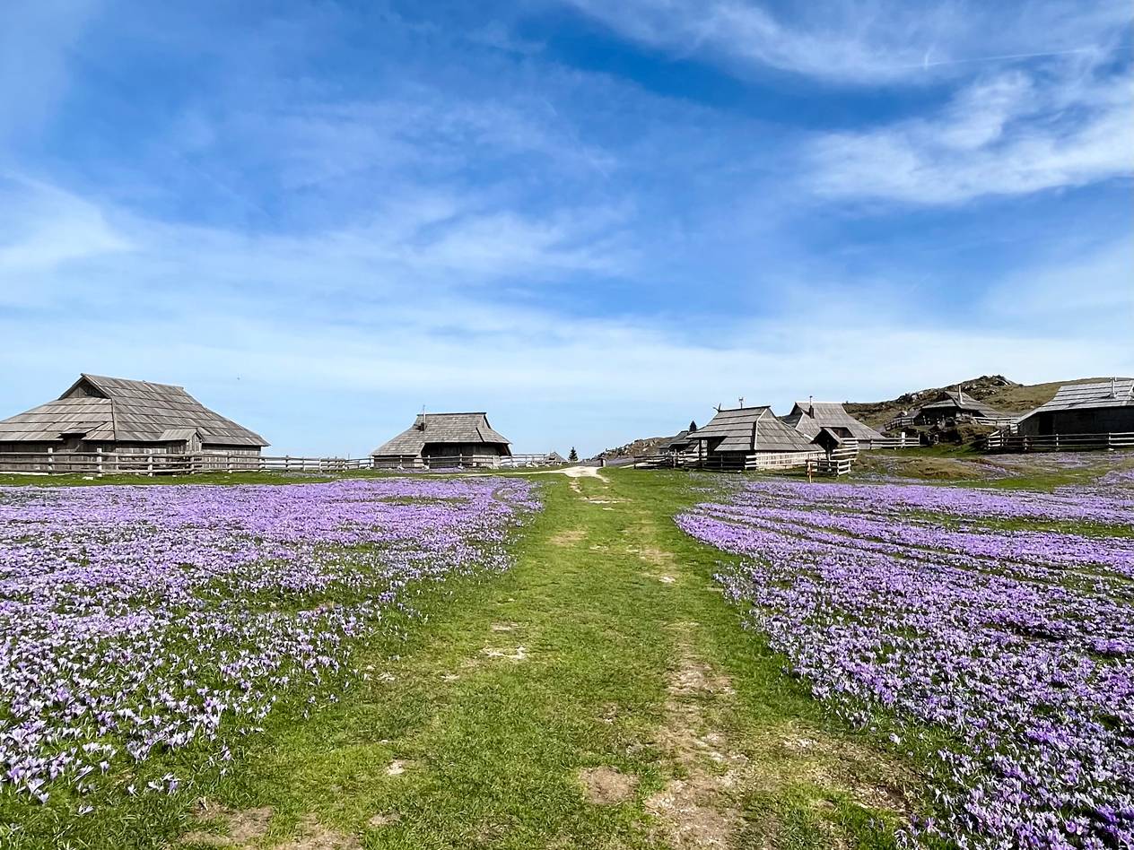 Velika planina