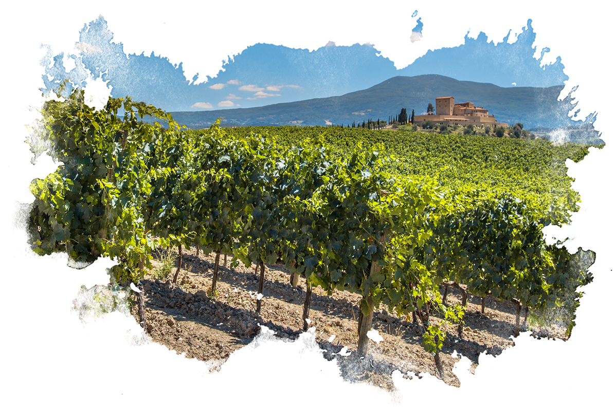 Vinogradi in grad v idilični pokrajini.