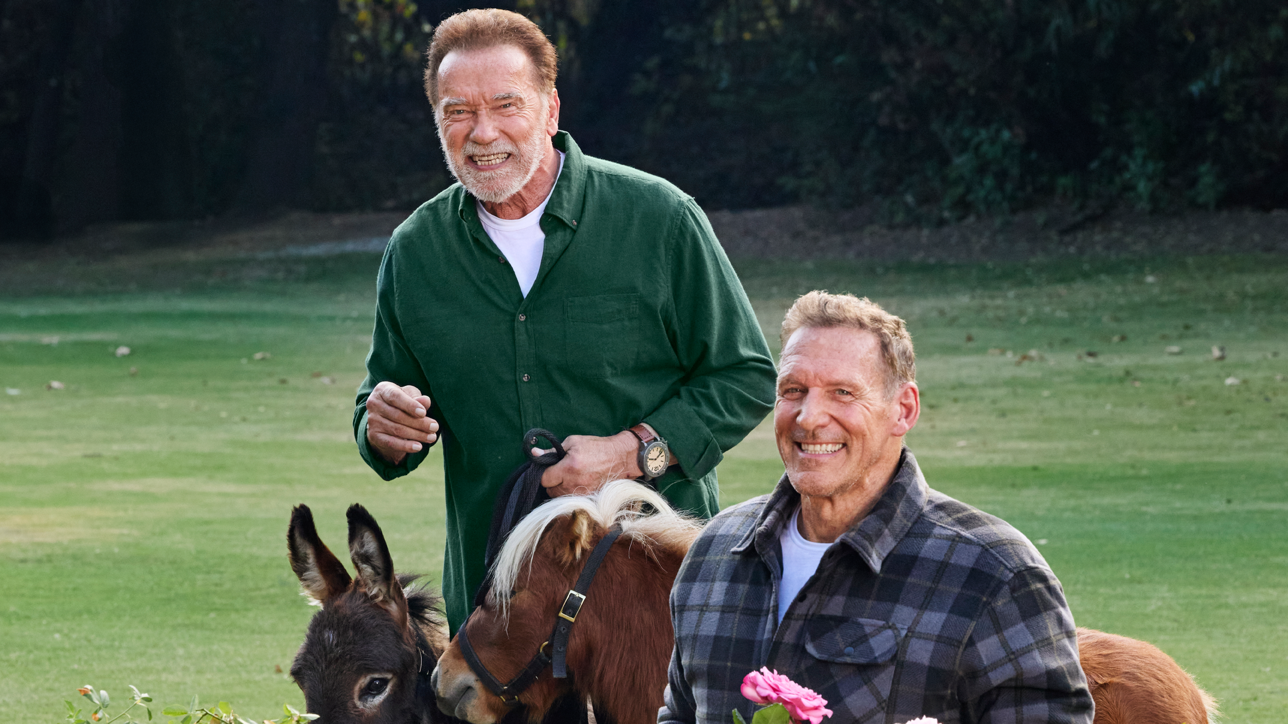 Arnold Schwarzenegger in Ralf Moeller z osličkom in ponijem na zelenem travniku.