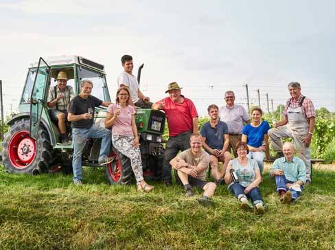 Skupina ljudi, nekateri na in okoli traktorja, v vinogradu.