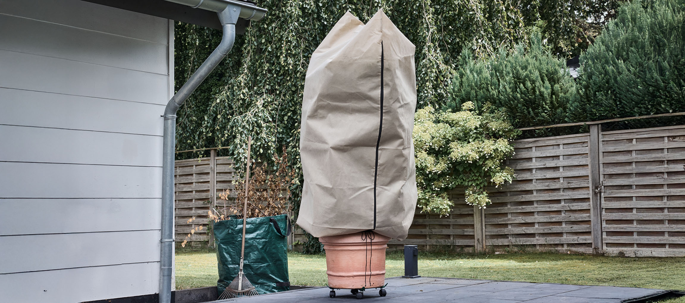 Lončnica z zimsko zaščitno prevleko na terasi ob hiši.