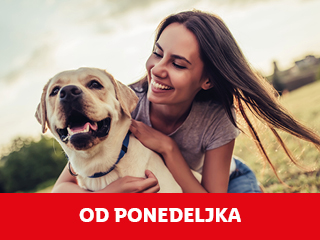 Hrana za mačke in pse